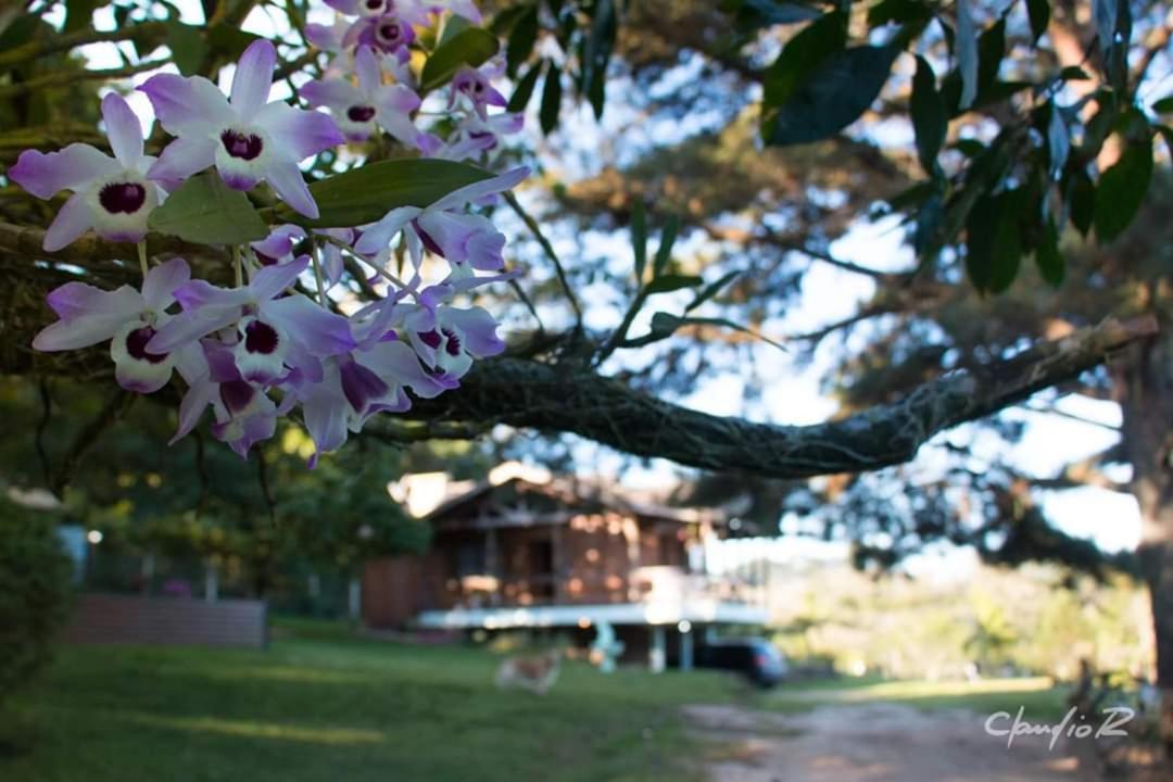 Linda Casa De Campo Viamão Exteriör bild